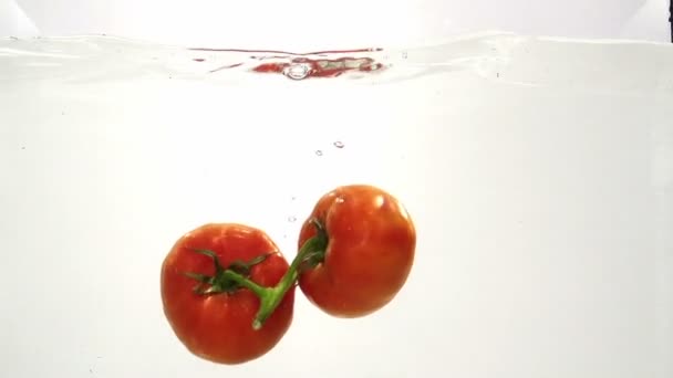 Rote Tomaten. Zeitlupe — Stockvideo