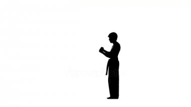 Kung fu, karate, dövüş sanatları, siluet. Nunchaku onun elinde