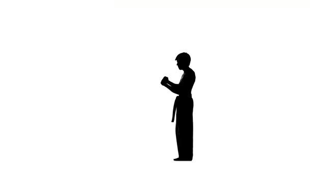 kung fu, karaté, arts martiaux, silhouette. nunchaku dans ses mains 