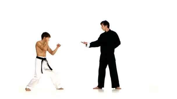 Sparrynh taekwondo och wushu mannen på en vit — Stockvideo