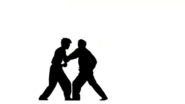 Sparrynh taekwondo e karatê em um fundo branco, golpes um do outro, silhueta — Vídeo de Stock
