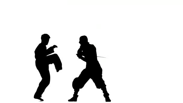 Artes marciales. karate y ninja muestran habilidades en el campo de batalla, Silhouette — Vídeo de stock