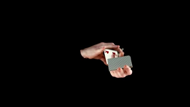 Produkt trollkarl gå på visar sitt trick med kort, cardistry på svart — Stockvideo