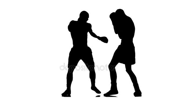 Serie Schläge und Blocks beim Training zweier Boxer. Silhouette — Stockvideo