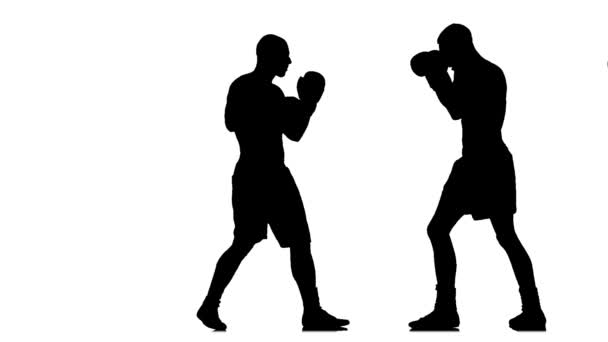Αργή κίνηση. Punching και κλοτσιές αθλητών σε γάντια του μποξ — Αρχείο Βίντεο