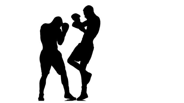 Boxe in silhouette in studio. Calci al ginocchio al corpo — Video Stock