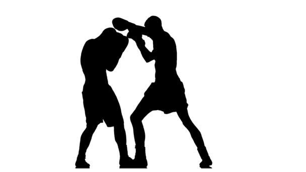Kickboxen zwei athletische Sportler. Silhouette — Stockvideo