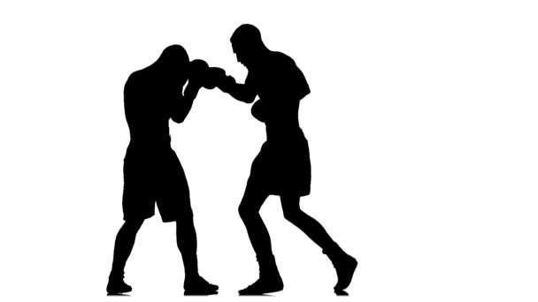 Silhouette of two boxers which are boxing. Slow motion — Stock Video