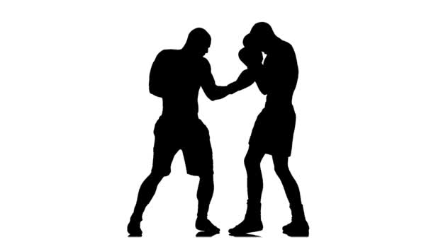 Silueta. Entrenamiento entre dos deportistas boxeadores hombres. Movimiento lento — Vídeo de stock