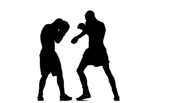 Men boxers train punches and kicks. Slow motion. Silhouette — Stock Video