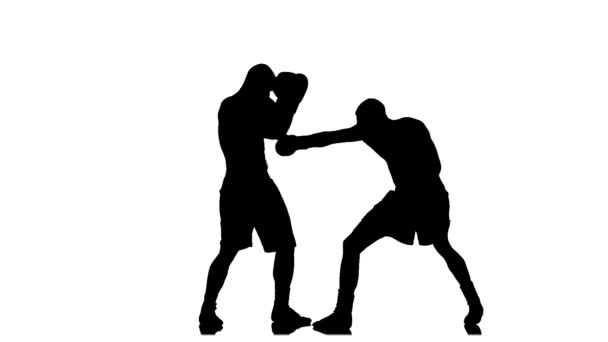 Athletes boxers sparring in the studio. Silhouette in slow motion — Stock Video