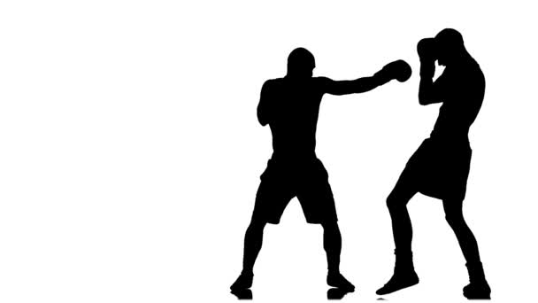 Knock down boxer. Zpomalený pohyb — Stock video