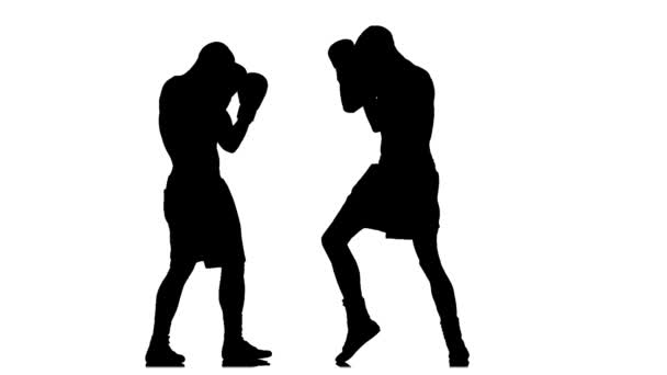 La boxe. Des gants perforés. Deux hommes silhouette athlètes se battent. Mouvement lent — Video