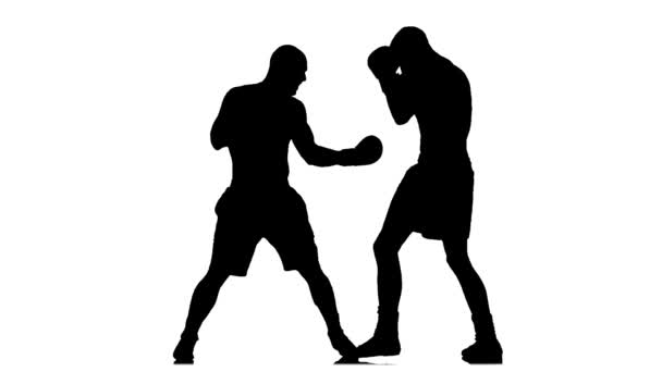 Blows to the body, two men boxers sparring. Slow motion — Stock Video