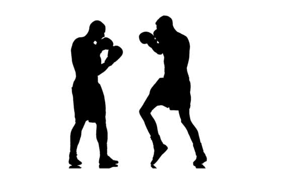 Golpes en la cabeza, dos boxeadores boxeando. Movimiento lento — Vídeo de stock