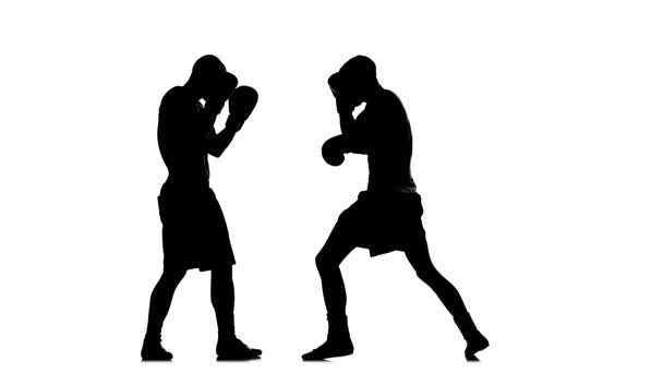 Two young fighters train left hook to the head. Silhouette — Stock Video