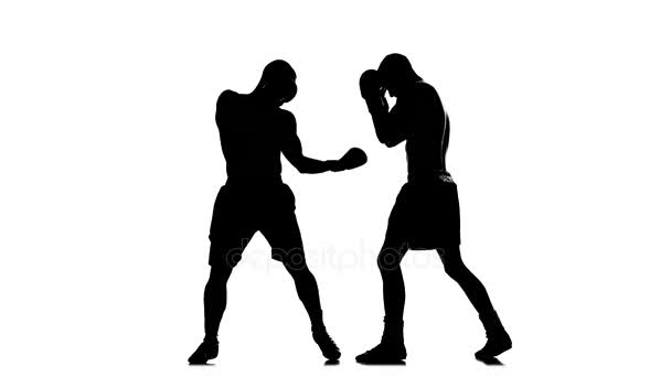 Entrenar golpes en la mano izquierda. Silueta de boxeadores — Vídeo de stock