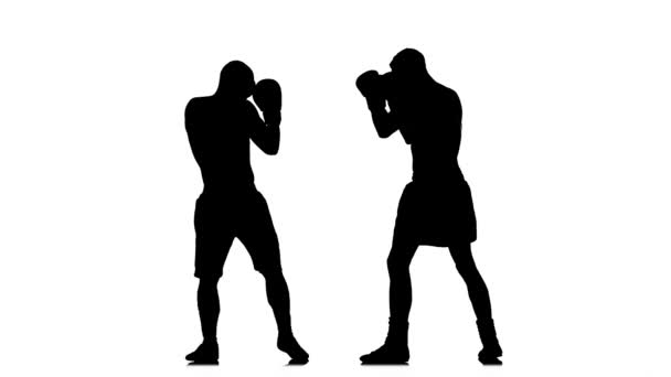 Dos boxeadores de kickboxer. Silueta de entrenamiento de deportistas — Vídeo de stock