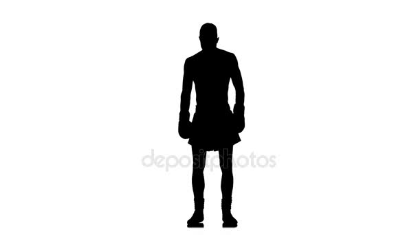 Boxer demonstrates all his muscles. Black silhouette on white background — Stock Video