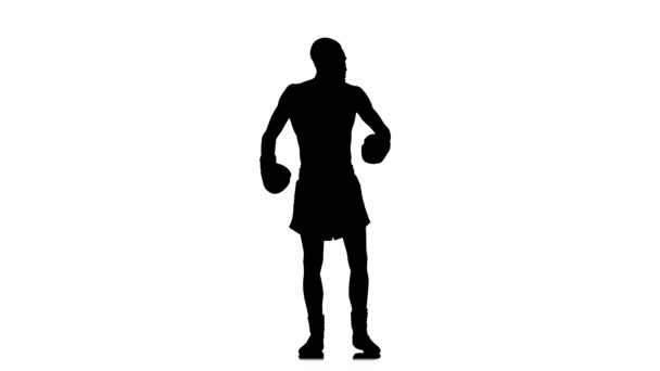 Black silhouette on white background. Boxer demonstrates all his muscles — Stock Video