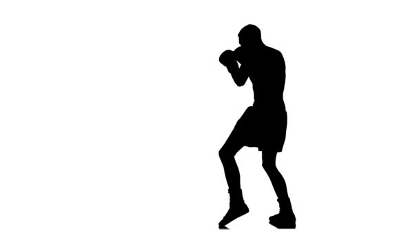 ボクサーのシルエットは、シャドウと戦います。白背景 — ストック動画