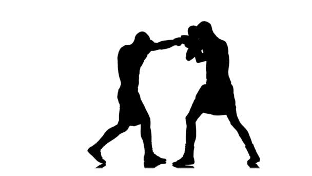 Knockout boxer. Black silhouette on a white background — Stock Video