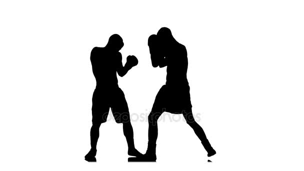 Boxer knockout opponent after a short fight. Black silhouette — Stock Video