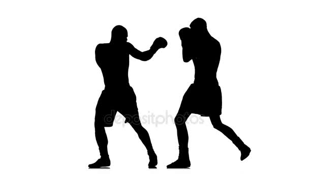 Non-contact training two boxers in the silhouette — Stock Video