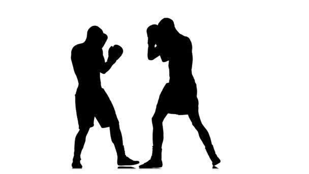 Silhouette forbidden low blow in boxing — Stock Video