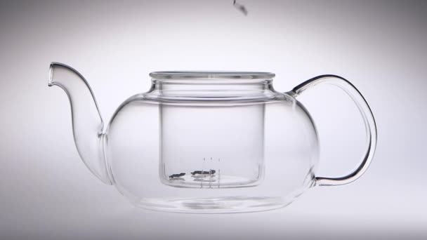 Theebladeren vallen in glas transparant theepot. Slow motion — Stockvideo