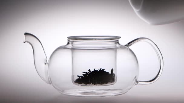 Into transparent teapot with tea leaves is poured boiling water — Stock Video