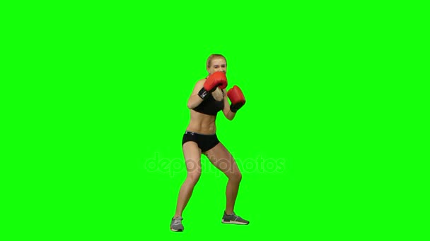 Boxer staande in de voorzijde en stuurt butted een tegenstander staande op de plek. Groen scherm — Stockvideo