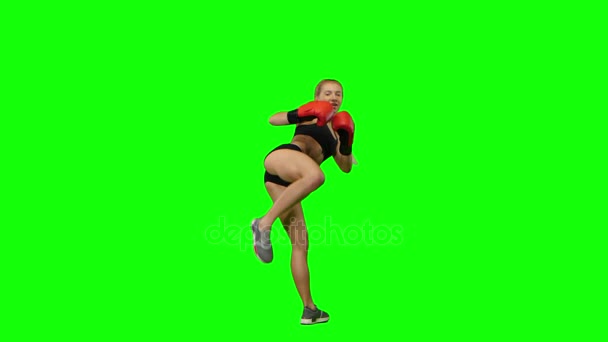Boxer standing in the front and make swings and kicks. Green screen — Stock Video