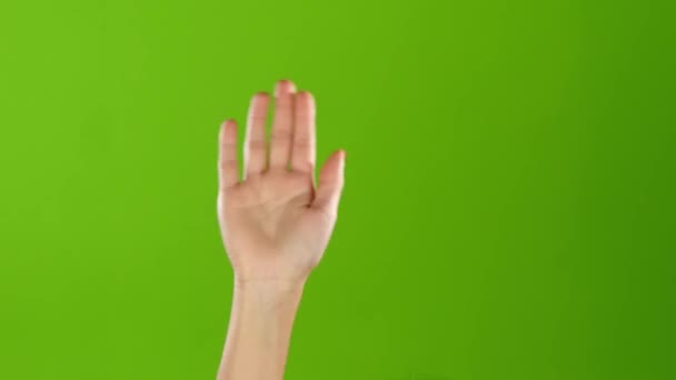 Κορίτσι με μανικιούρ κουνώντας γειά σου, υψώνοντας το χέρι. Πράσινη οθόνη — Αρχείο Βίντεο