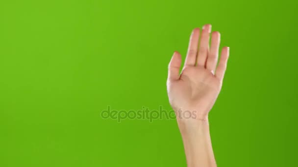 Mädchen hebt die Hand und winkt allen zum Abschied zu. Green Screen — Stockvideo