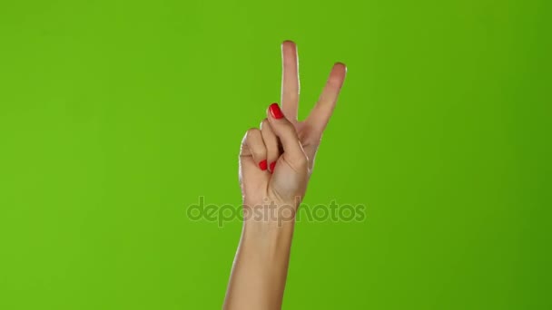 Roztřesené gesto ruky dívka označující míru. Zelená obrazovka studio — Stock video