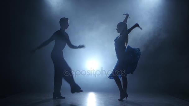 Профессиональная пара танцоров сальсы позируют в дымчатой студии, силуэт — стоковое видео