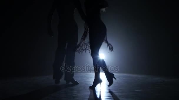 Dance couple demonstrating magnificent choreography of salsa, black background. Close-ups — Stock Video