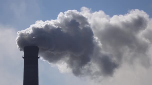 Una tubería de trabajo en la planta de la que sale vapor — Vídeo de stock