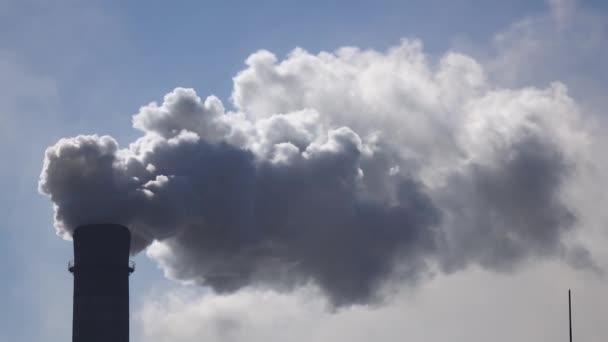 Робоча труба на промисловому заводі, з якого виходить смог — стокове відео
