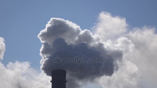 Smog komt uit werkende pijp in industriële fabriek — Stockvideo