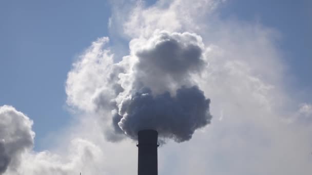 A fumaça sai do tubo de trabalho na planta industrial — Vídeo de Stock