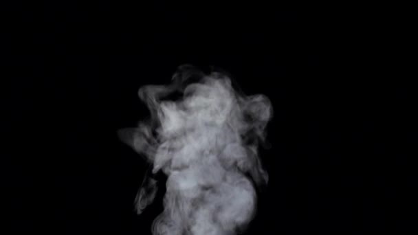 Smoke billowing over steady flow on black background, slow motion — Stock Video