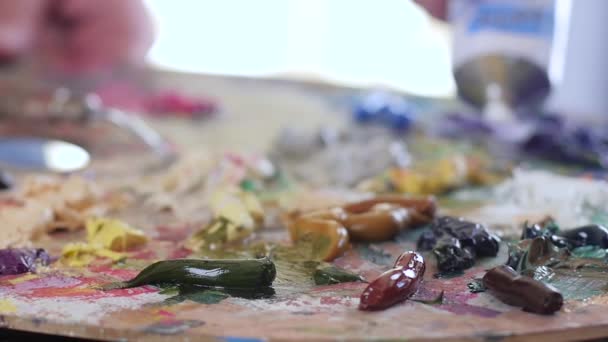 Художник сжимает краску из трубки на палитру. Медленное движение — стоковое видео