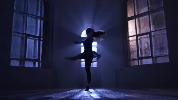 Piroette eseguite dalla ballerina al chiaro di luna, silhouette. Rallentatore — Video Stock