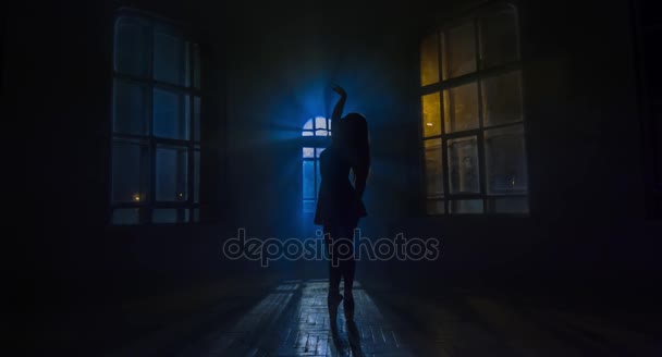 Ballerina in pointes dances against the window in moonlight. Silhouette — Stock Video