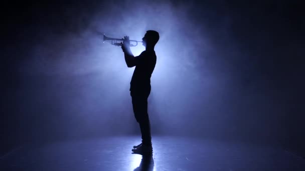 Músico profesional en estudio ahumado tocando en instrumento de viento, silueta — Vídeos de Stock