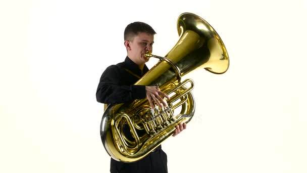 O homem toca na melodia lenta da tuba. Branco estúdio fundo — Vídeo de Stock