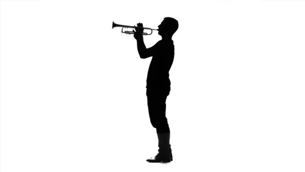 音乐家专业里慢动作喇叭上玩。黑色的人影 — 图库视频影像