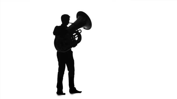 Muzikant-man spelen op tuba in slow motion. Zwarte silhouet — Stockvideo